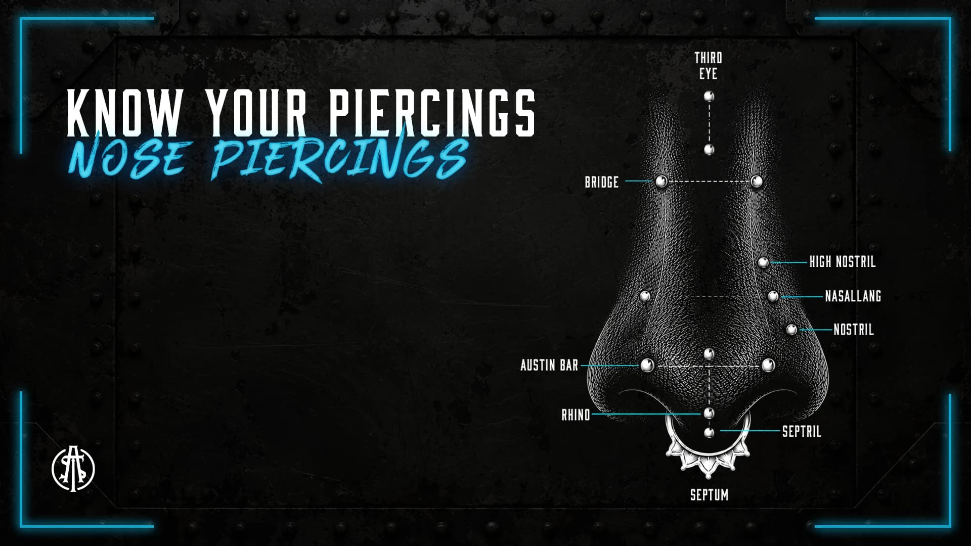 Diagram of nose piercing placements on a nose: third eye, bridge, high nostril, nasallang, nostril, Austin bar, rhino, septril and septum.